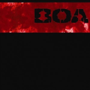 BOA 2